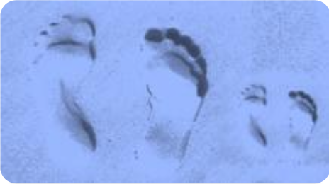 DGS Help with preparation for new life and family nurture of Children